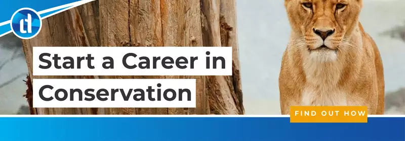 learndirect - study online for a career in animal and wildlife conservation